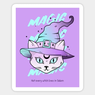 Witch Witches Cat Cats Magic Witchcraft Magnet